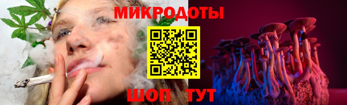 Галлюциногенные грибы Psilocybine cubensis  купить наркотик  Шарыпово  Вход с VPN 
